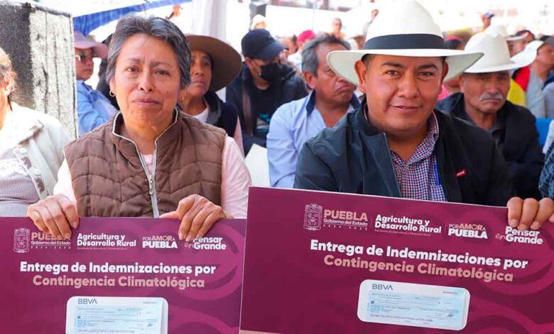 Gobierno de Puebla rescata economía de productores ante heladas atípicas en Chiautzingo