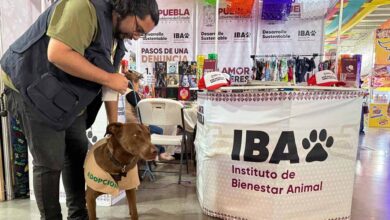 Bienestar Animal promueve cultura de cuidado en la Feria de Puebla 2025