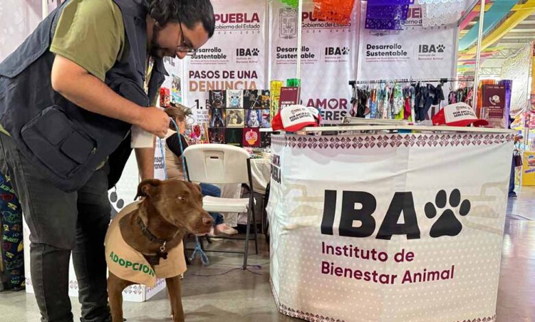 Bienestar Animal promueve cultura de cuidado en la Feria de Puebla 2025