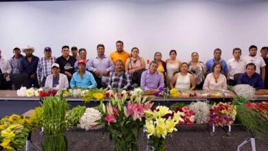 Promueven en el Congreso de Puebla venta de flor originaria de Atlixco
