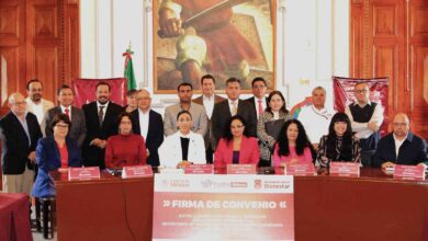 Alimentacion