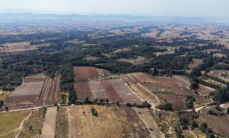 Ecoporque La Malintzi