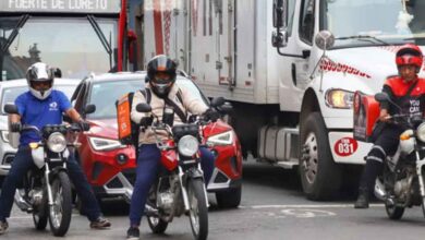 Ley Casco