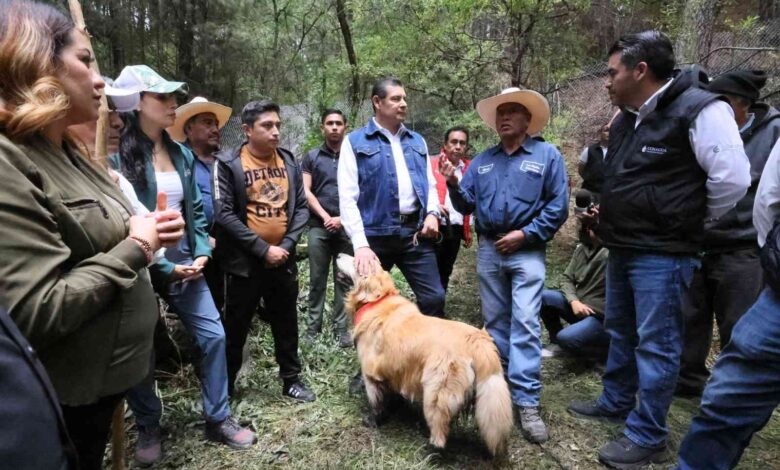 Rio atoyac