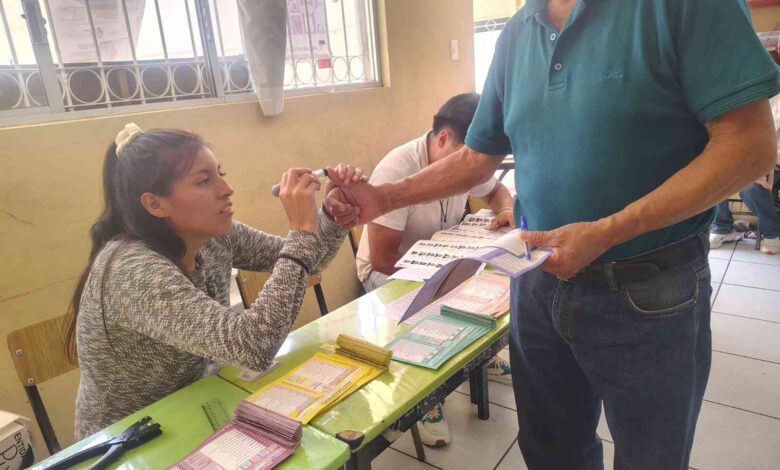 salir a votar