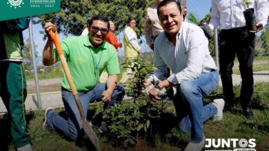 feria ambiental