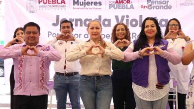 jornada violeta