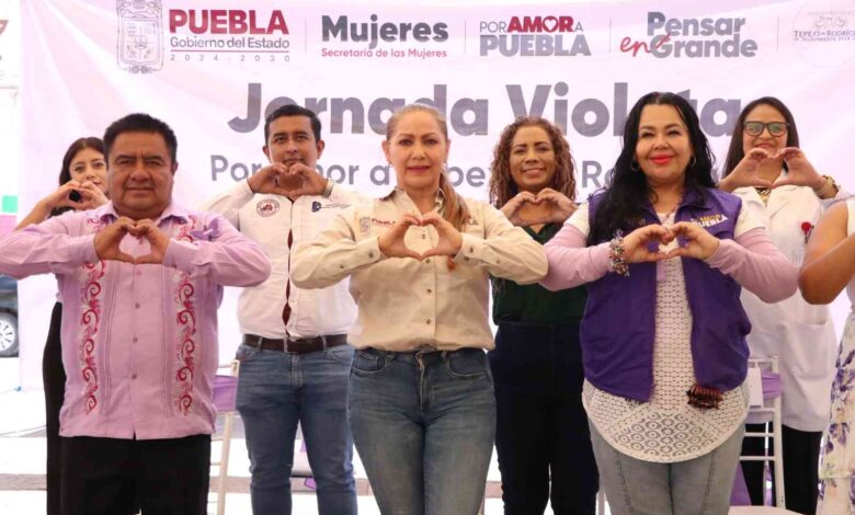 jornada violeta