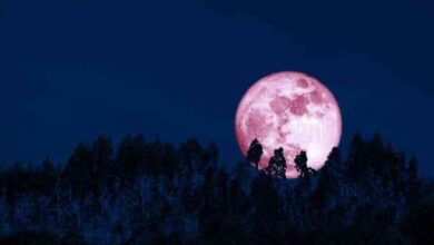 luna de fresa