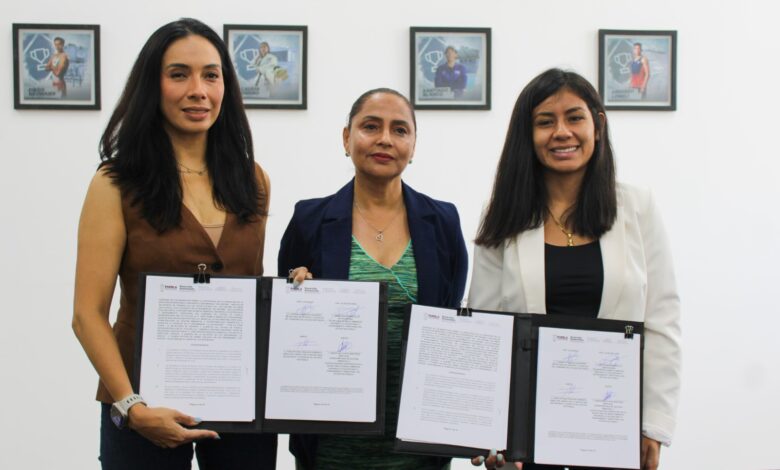 medio ambiente Juventud