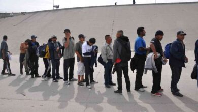 migrantes