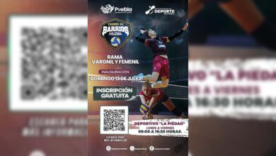 voleibol