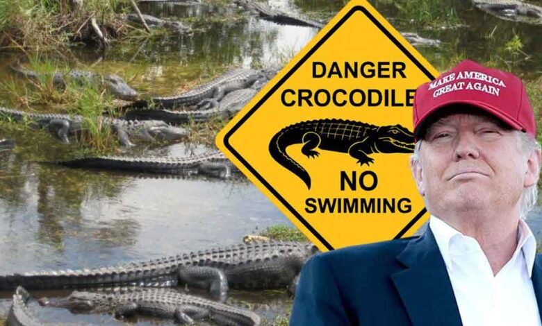 Alligator-Alcatraz