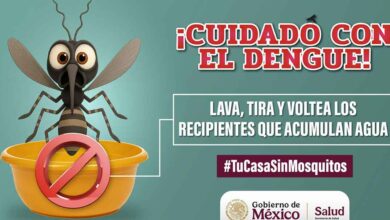 Aumentan Casos de dengue en México