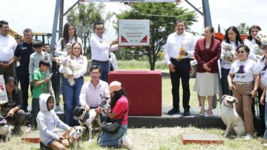 Bienestar-Animal