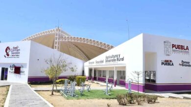 Casas Carmen Serdán