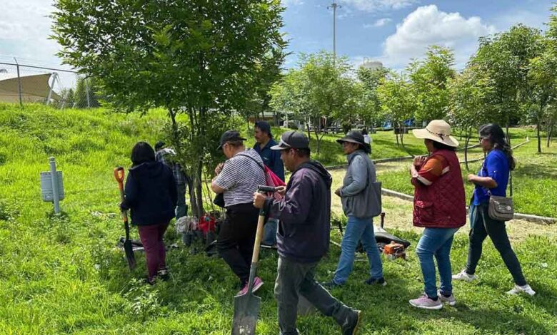 Gobierno de la Ciudad reforestación
