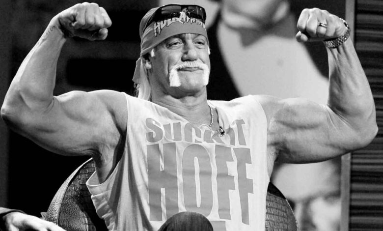 Hulk Hogan, Terry Bollea