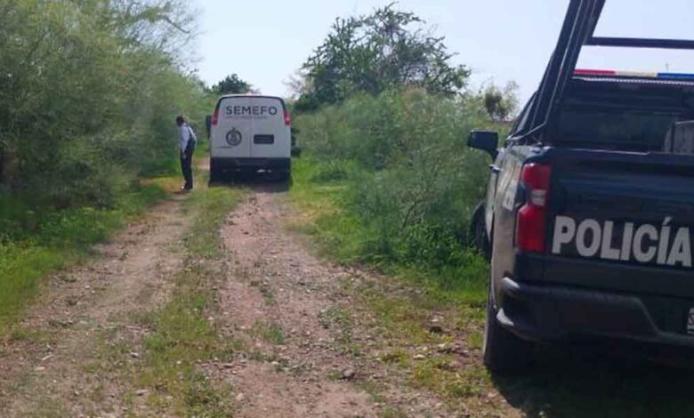 Hombre pierde la vida tras ataque de caimán en Sinaloa
