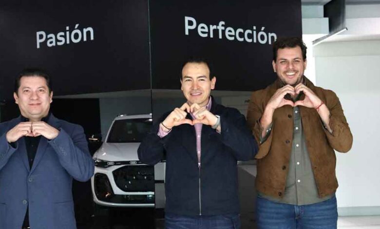 Proyecto Olinia