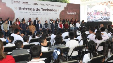 Techados escolares pepe chedraui