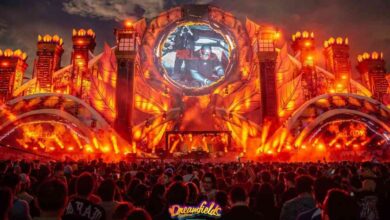 dreamfields