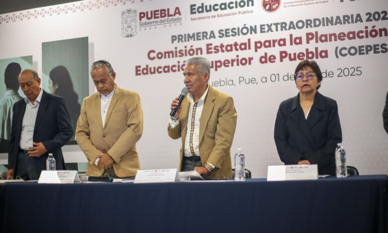 educacion superior