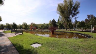 parques puebla