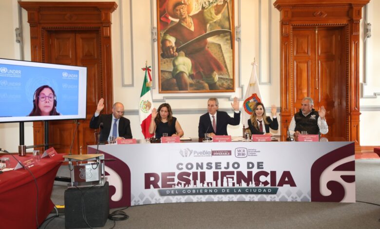 resiliencia