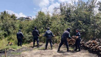 Aseguran Policía Forestal de Puebla y de Montaña de Tlaxcala hornos clandestinos de madera