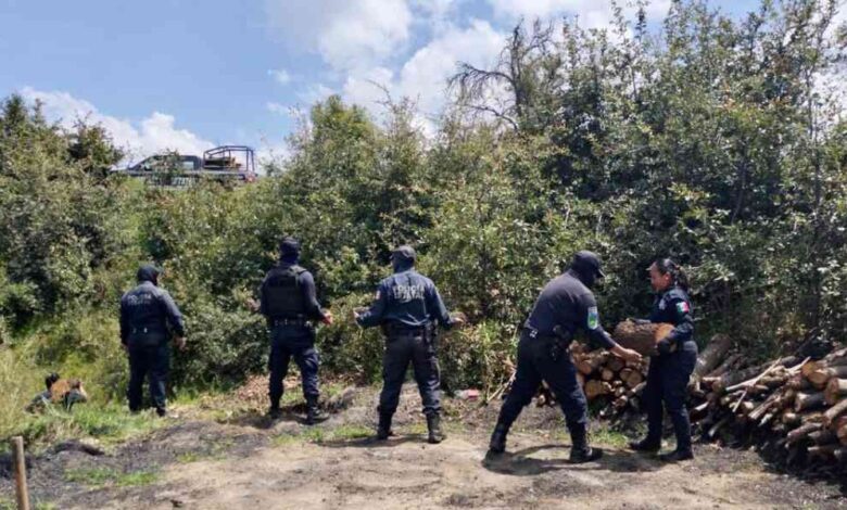Aseguran Policía Forestal de Puebla y de Montaña de Tlaxcala hornos clandestinos de madera