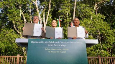 Corredor Biocultural de la Gran Selva Maya