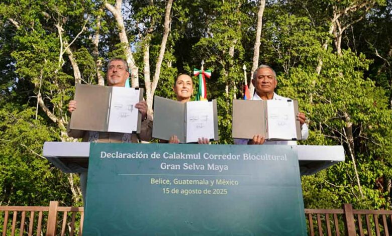 Corredor Biocultural de la Gran Selva Maya