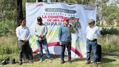 Gobierno de la Ciudad impulsa una Puebla más verde: 520 nuevos árboles para fortalecer nuestras áreas verdes