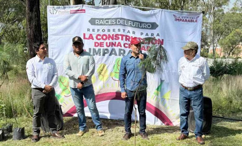 Gobierno de la Ciudad impulsa una Puebla más verde: 520 nuevos árboles para fortalecer nuestras áreas verdes