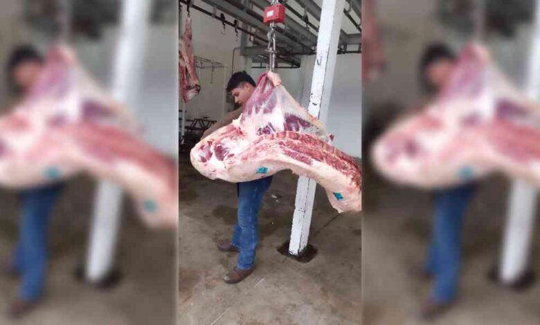 Rastro de Texmelucan labora bajo procedimientos específicos y verificaciones de DPRIS