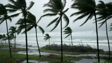 Tormenta tropical