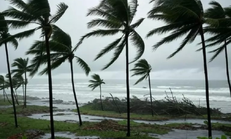 Tormenta tropical
