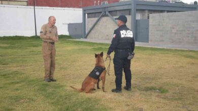 Unidad Canina K9 recibe certificación internacional