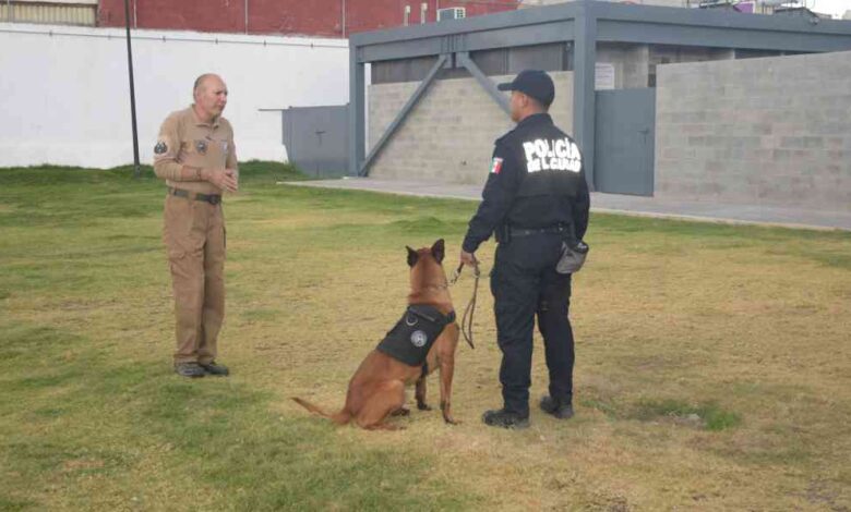 Unidad Canina K9 recibe certificación internacional