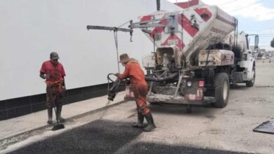 bacheo