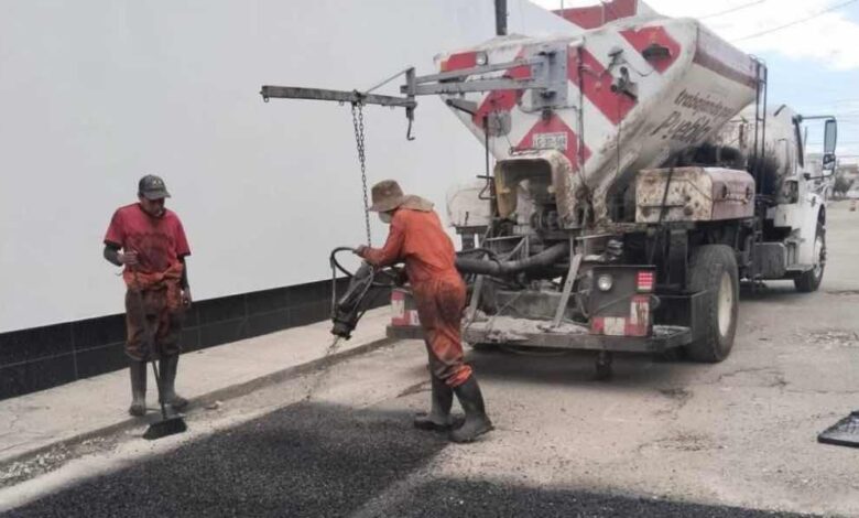 bacheo