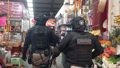 seguridad de Tonantzin Fernández