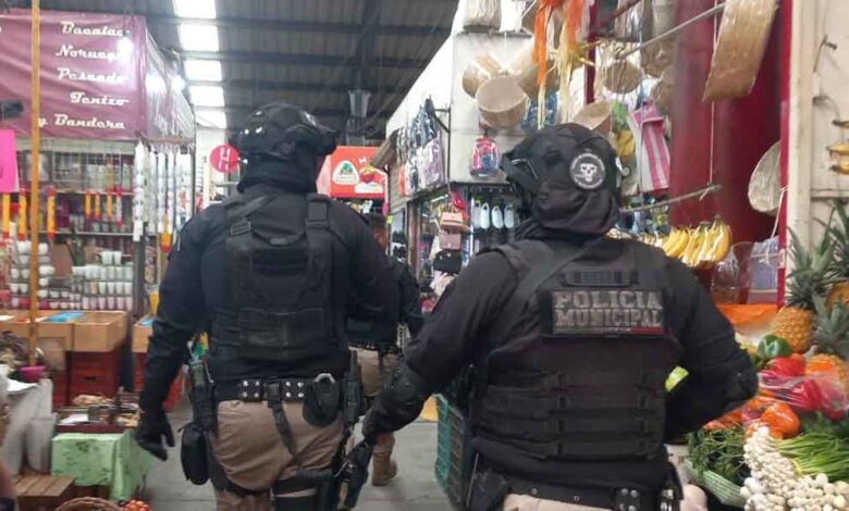 seguridad de Tonantzin Fernández