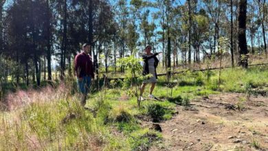 Cholula se prepara para la próxima Jornada de Reforestación _Raíces de Agua_ en el Cerro Zapotecas