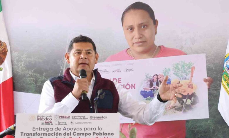Desde la Sierra Norte, Puebla consolida la paz y devuelve confianza a comunidades