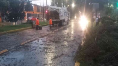 Despliegue inmediato_ Gobierno de Puebla activa protocolo de seguridad por lluvias y atiende caída de seis árboles