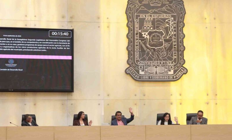 Diputados de Puebla Proponen Reformas en Beneficio de Adultos Mayores y Madres Trabajadoras
