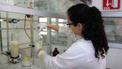 En cuatro años creció 30.5% el número de investigadores BUAP en el SNII