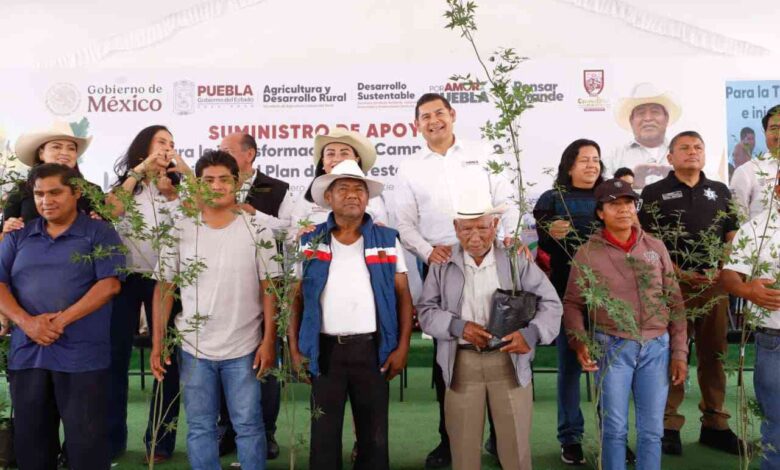 En microrregión de Cuapiaxtla inicia plan de reforestación 2025